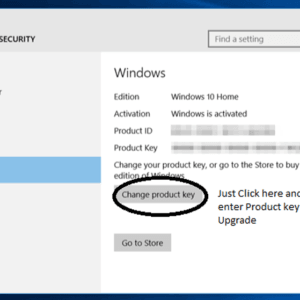 Windows 10 Professional