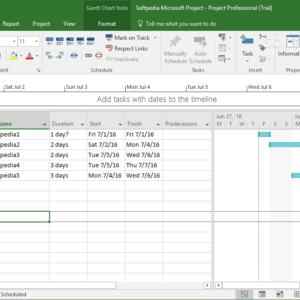 Microsoft Project Professional 2016