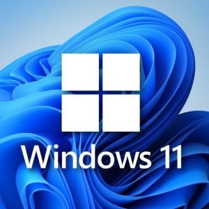 Microsoft Windows 11 Pro for Workstation Multilingual