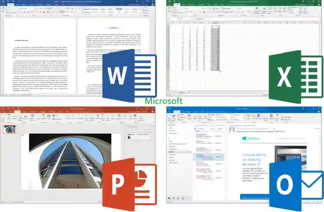 Microsoft Office Professional Plus 2019 UAE 2 microsoft office