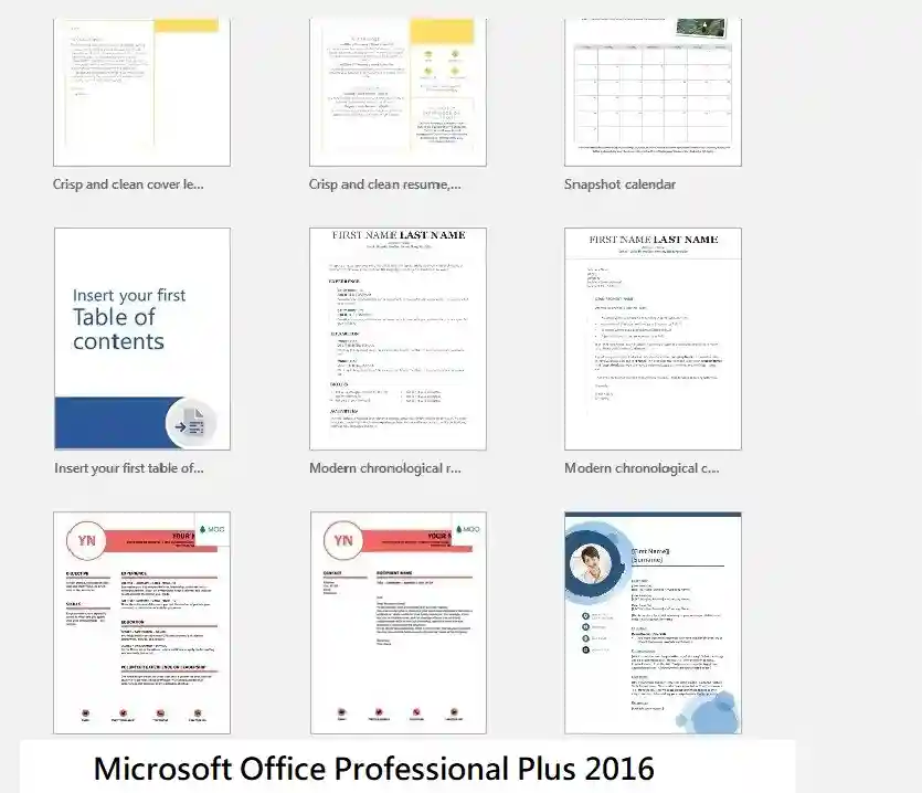 Microsoft Office Professional Plus 2016 for 1User 1 Microsoft Office Professional Plus 2016