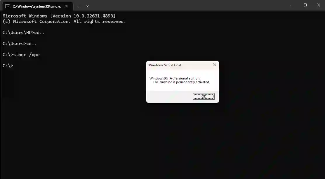 How Activation Affects Windows 11 Features (Expert Guide) 2 Windows 11 home