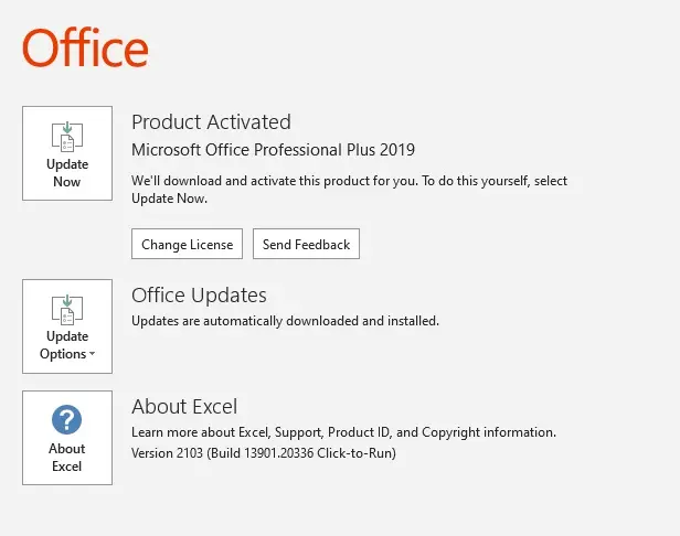 Microsoft Office Professional Plus 2019 - Authentic Mexican Version 2 Microsoft Office Professional Plus 2019 - Authentic Mexican Version