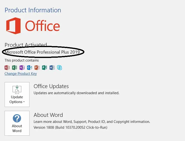 Microsoft Office 2019 Professional Plus 1 Microsoft Office 2019 Professional Plus