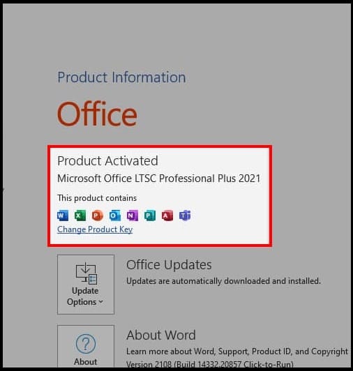 Microsoft Office LTSC Professional Plus 2021 (WIN) 2 Microsoft Office LTSC Professional Plus 2021 (WIN)