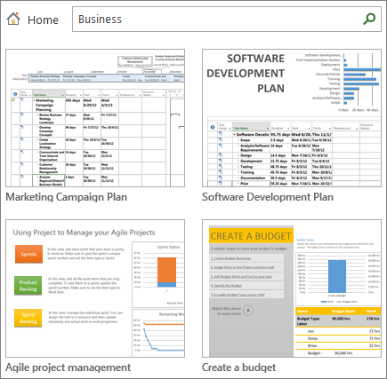 Microsoft Project for IT Department