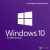 Windows 10 Professional | Multilingual | lifetime | 1 User 1 PC | Special Offer