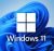 Microsoft Windows 11 Pro Multilingual | 1PC | Lifetime License